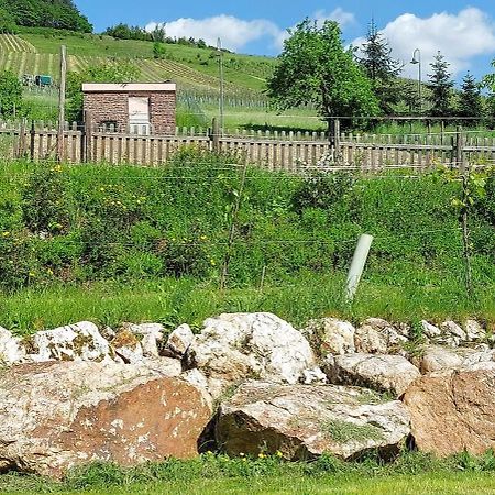 Huettenflair-Mosel Ferienwohnung Enkirch Exteriér fotografie