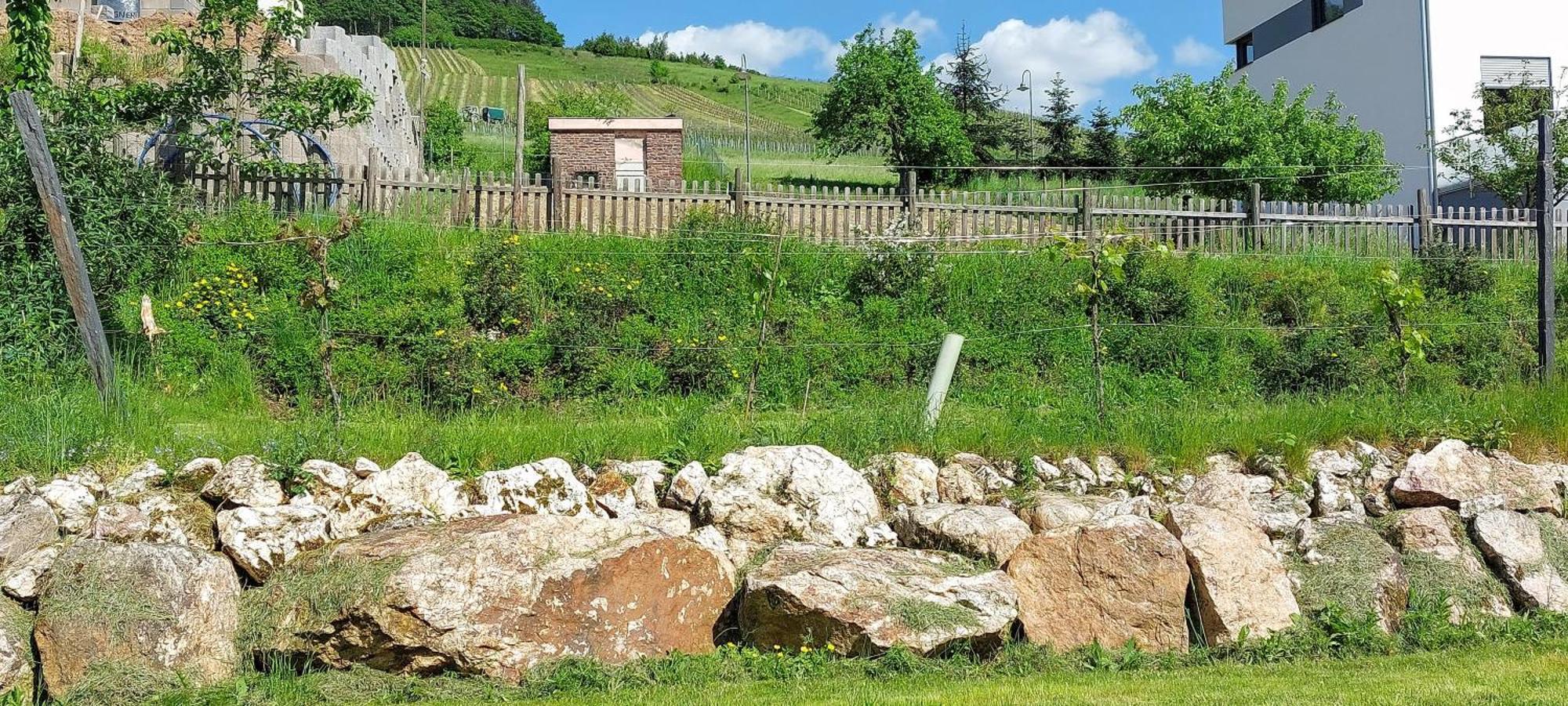 Huettenflair-Mosel Ferienwohnung Enkirch Exteriér fotografie
