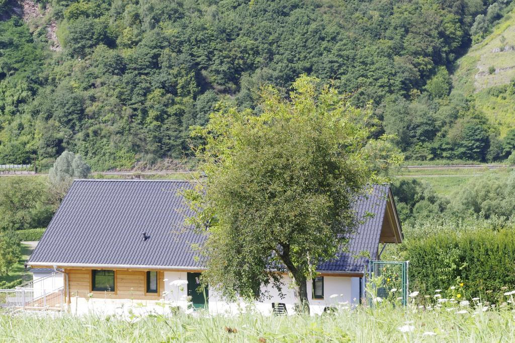 Huettenflair-Mosel Ferienwohnung Enkirch Exteriér fotografie