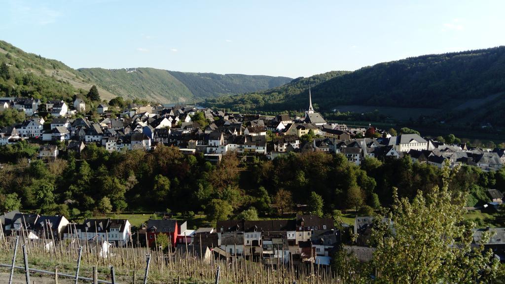 Huettenflair-Mosel Ferienwohnung Enkirch Exteriér fotografie